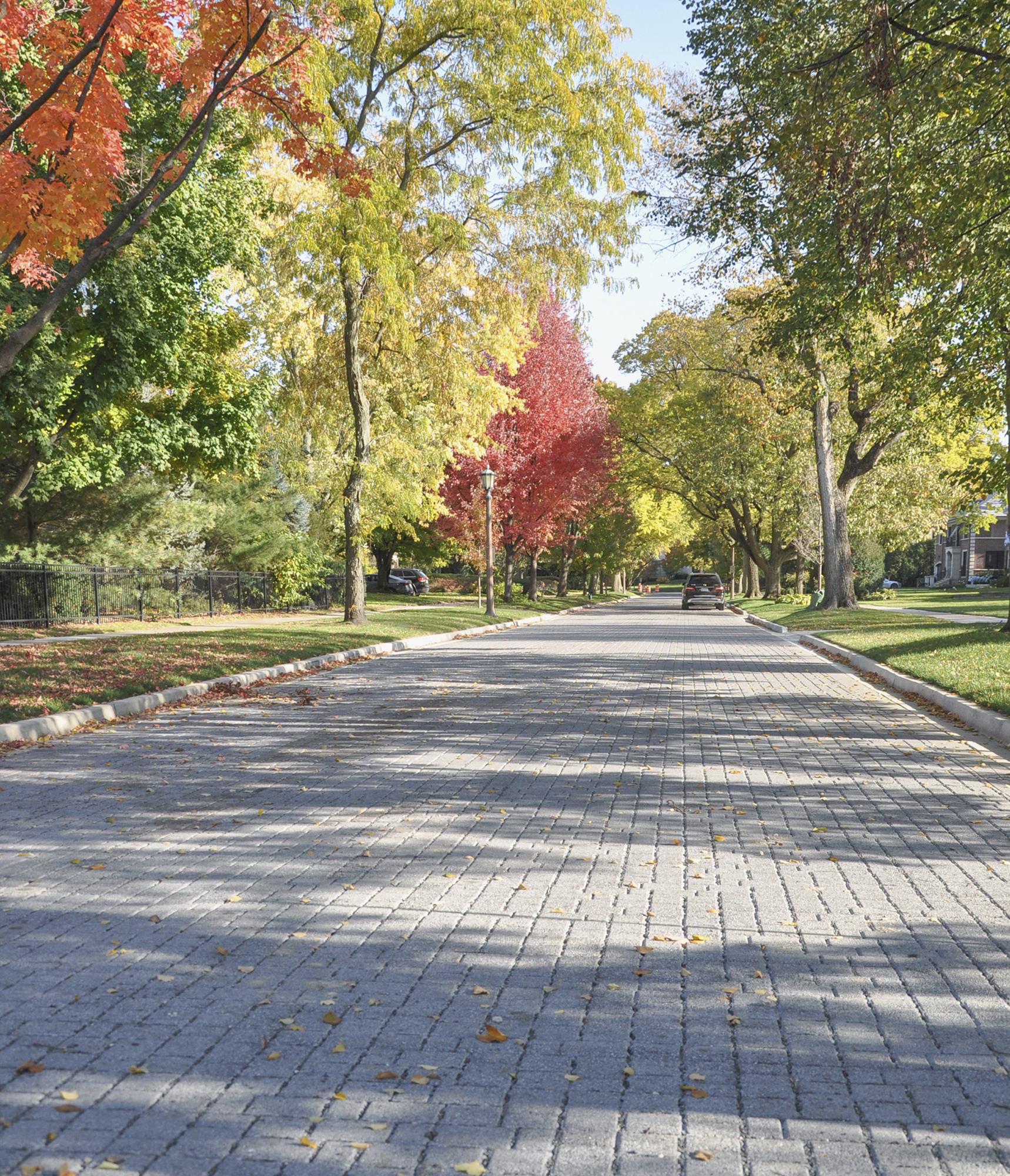 A tranquil streetscape lined with lush trees on either side, enhanced by a light grey Unilock paver roadway running down the middle.