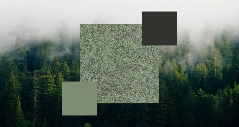 Evergreen Eclipse